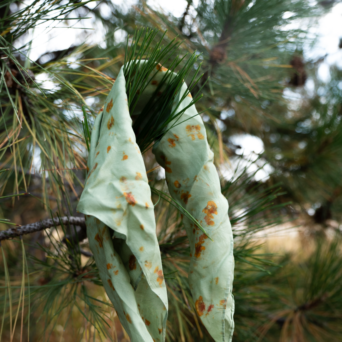 Silk Scarf | Green Meadow